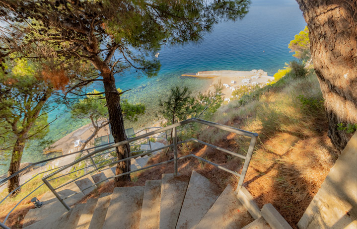 The Beach Path